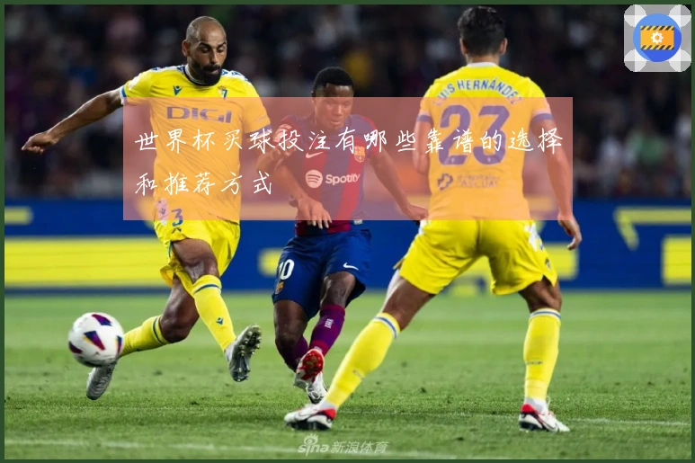 世界杯买球投注有哪些靠谱的选择和推荐方式