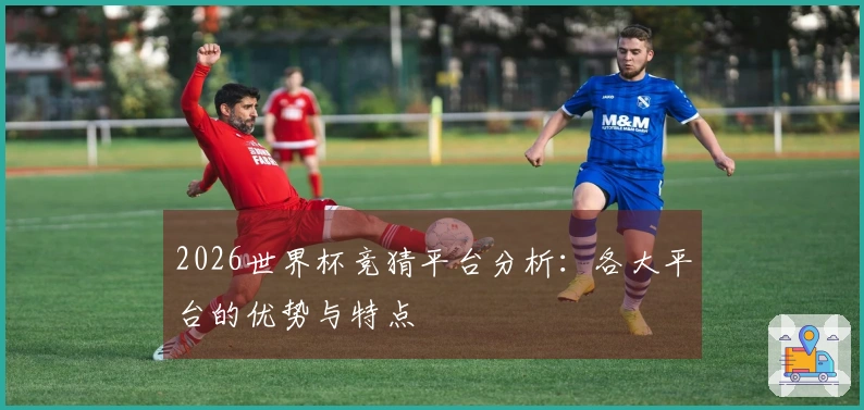 2026世界杯竞猜平台分析：各大平台的优势与特点