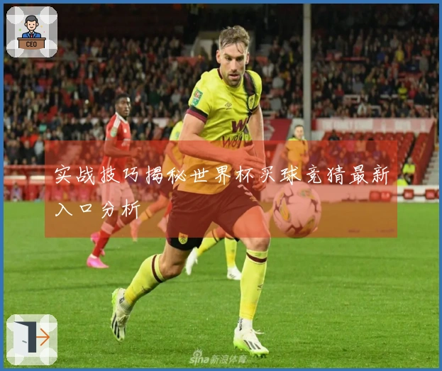 实战技巧揭秘世界杯买球竞猜最新入口分析