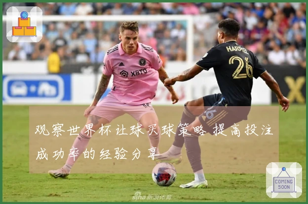 观察世界杯让球买球策略 提高投注成功率的经验分享