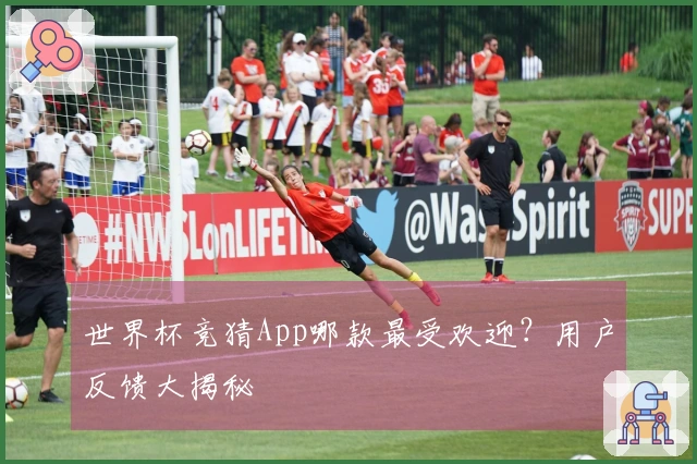 世界杯竞猜App哪款最受欢迎？用户反馈大揭秘