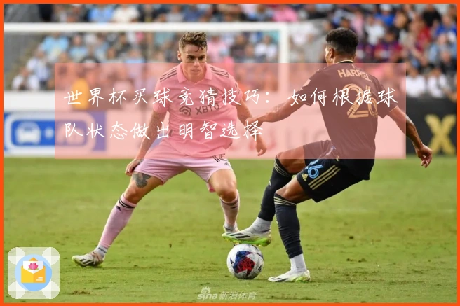 世界杯买球竞猜技巧：如何根据球队状态做出明智选择