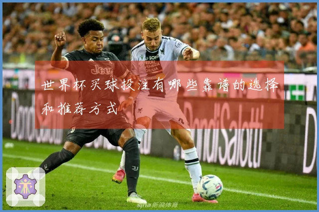 世界杯买球投注有哪些靠谱的选择和推荐方式