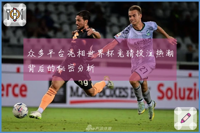 众多平台亮相世界杯竞猜投注热潮背后的秘密分析