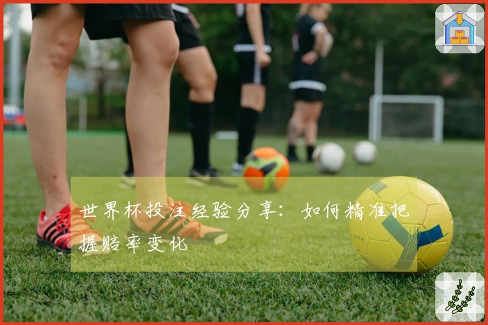 世界杯投注经验分享：如何精准把握赔率变化