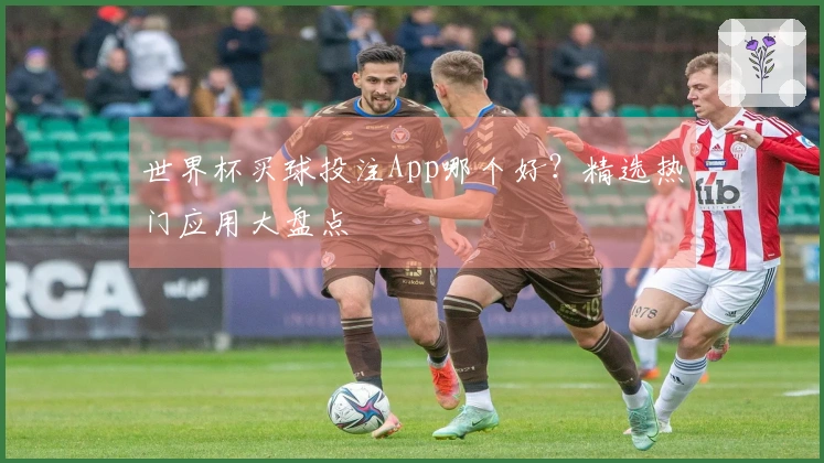 世界杯买球投注App哪个好？精选热门应用大盘点