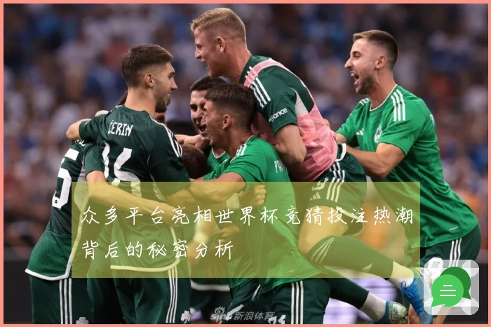 众多平台亮相世界杯竞猜投注热潮背后的秘密分析