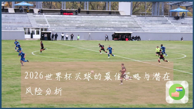 2026世界杯买球的最佳策略与潜在风险分析