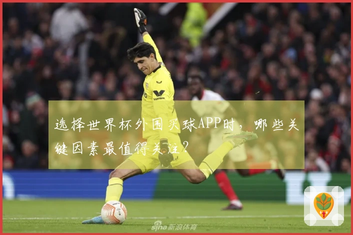 选择世界杯外围买球APP时，哪些关键因素最值得关注？