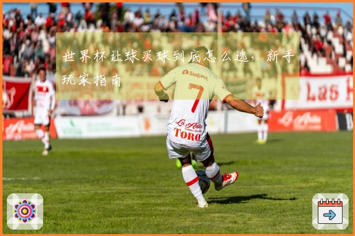 世界杯让球买球到底怎么选，新手玩家指南